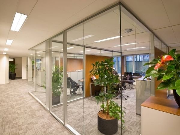 Película de Proteção tipo Insulfilm em Taubaté